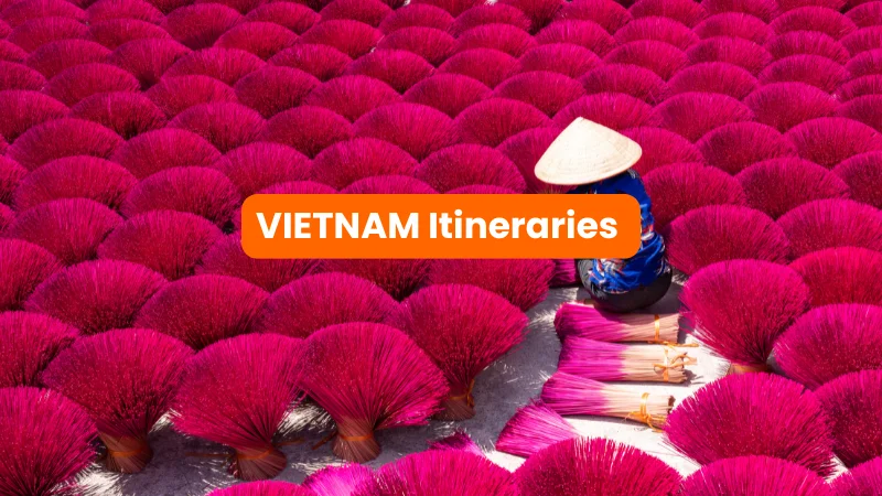 Vietnam AI Itineraries