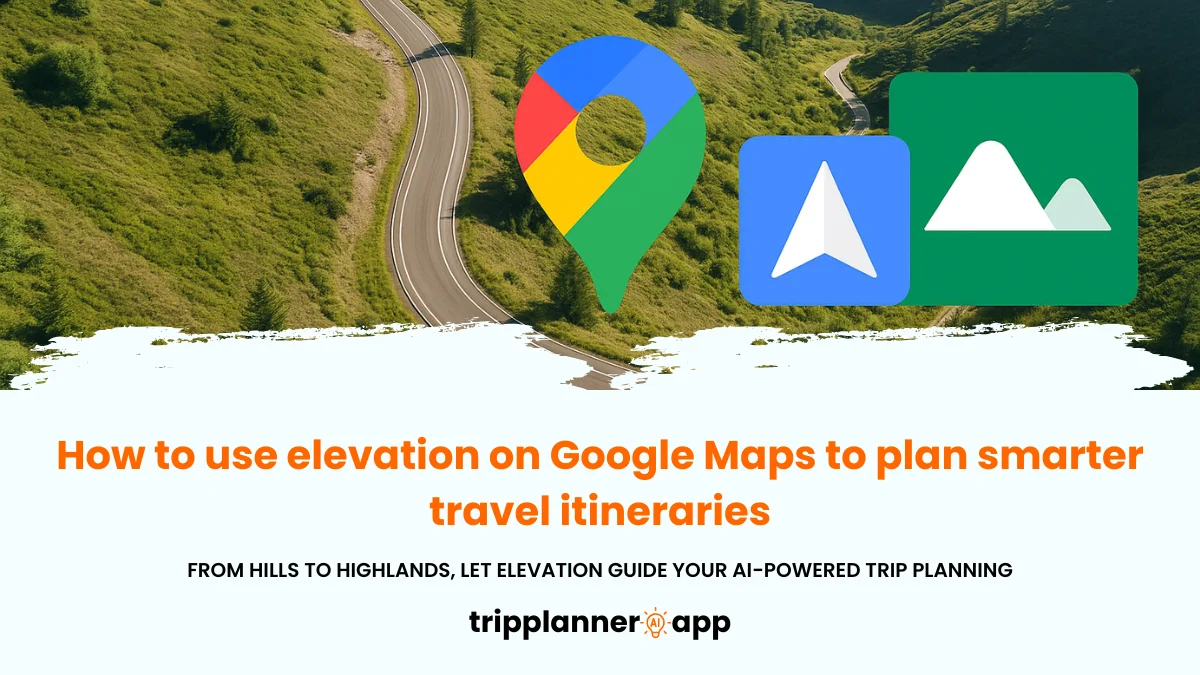 elevation on google maps