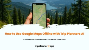 Google Maps Offline