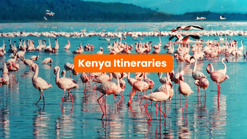 Kenya iltinerary