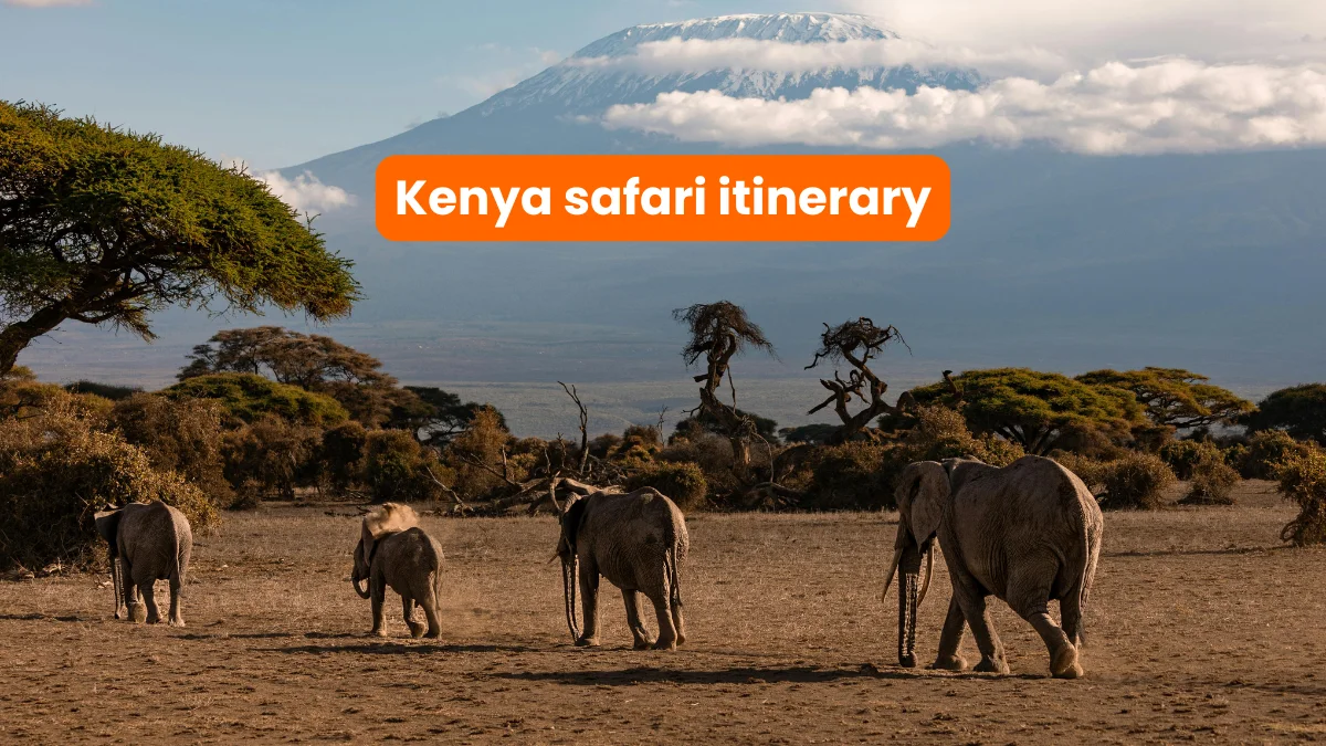 kenya safari itinerary
